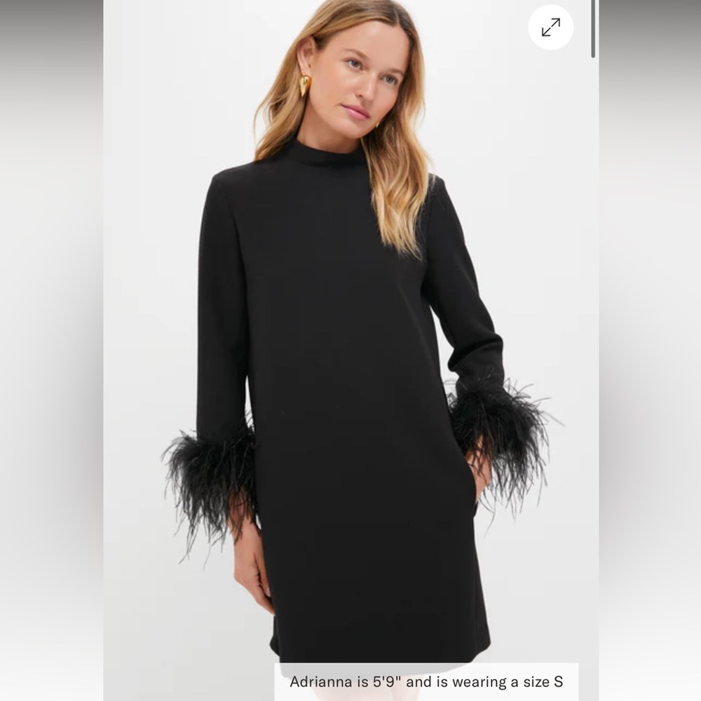 Tucker Black feather Ellie